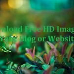 Download Free HD Images For Your Blog or Website