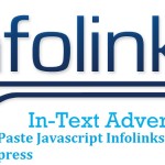 How To Paste Javascript Infolinks ads Code In WordPress
